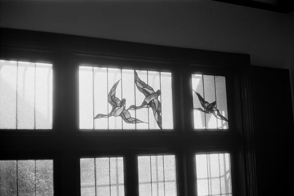 #068 - ゴールデンウィークのこと／伺った写真展と蒼梧記念館、剪定した植物と小さなリセット